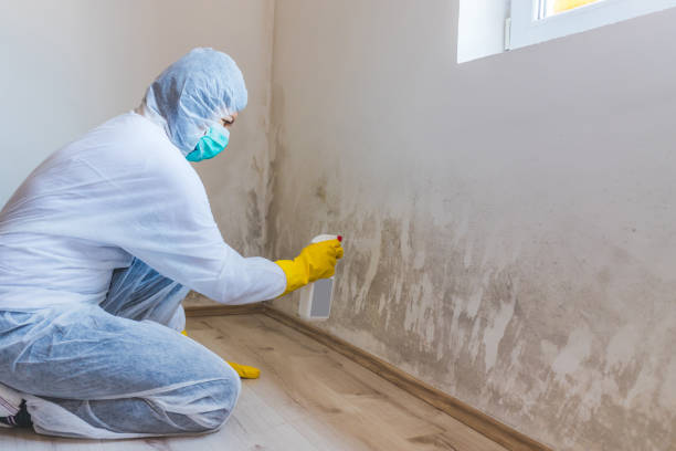 Licensed Mold Testing service in Closter, NJ - WQB Mold Removal