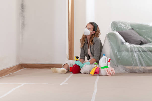 Reliable Mold Testing contractor in Closter, NJ by WQB Mold Removal